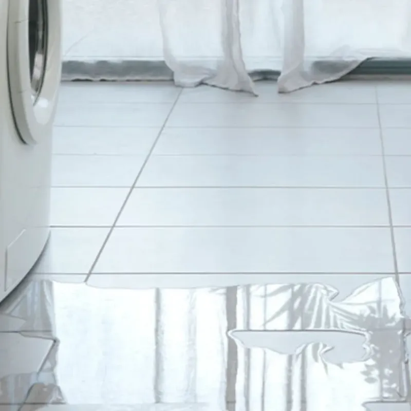 Appliance Leak Cleanup in Trenton, IL