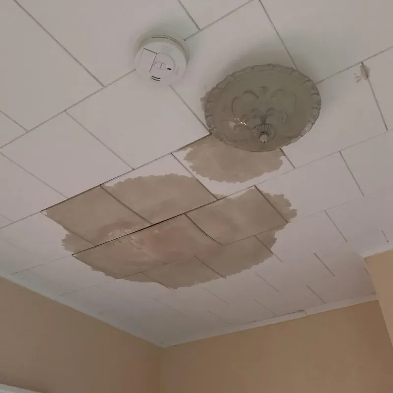 Ceiling Water Damage Repair in Trenton, IL