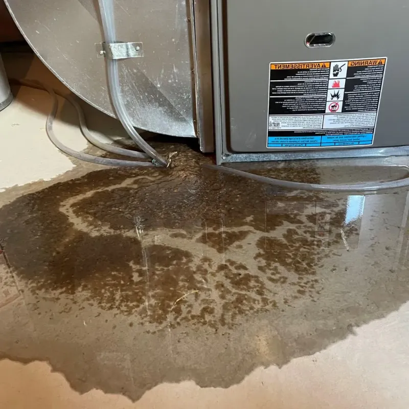 Pipe Burst and Leak Restoration in Trenton, IL