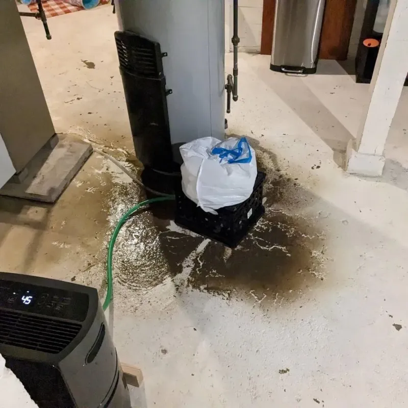 Sewage Backup Cleanup Service in Trenton, IL